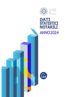 copertina-dsn copertina-dsn
