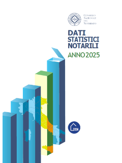 copertina-dsn copertina-dsn
